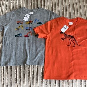 NWT HANNA ANDERSSON Lot x 2 Boys Tees/Shirts 110 5